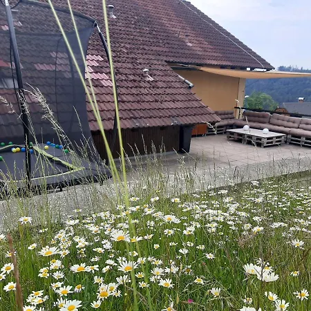 Na Budarce Paseky nad Jizerou