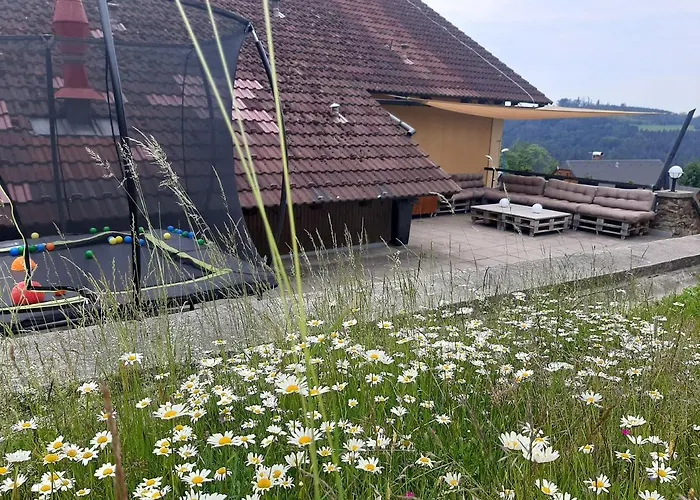 Na Budarce Paseky nad Jizerou